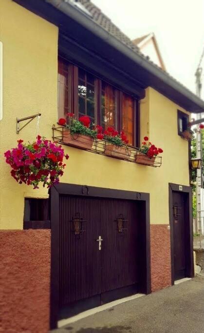 Chez Mamema, Maison Alsacienne Route Des Vins Кинцхайм Экстерьер фото